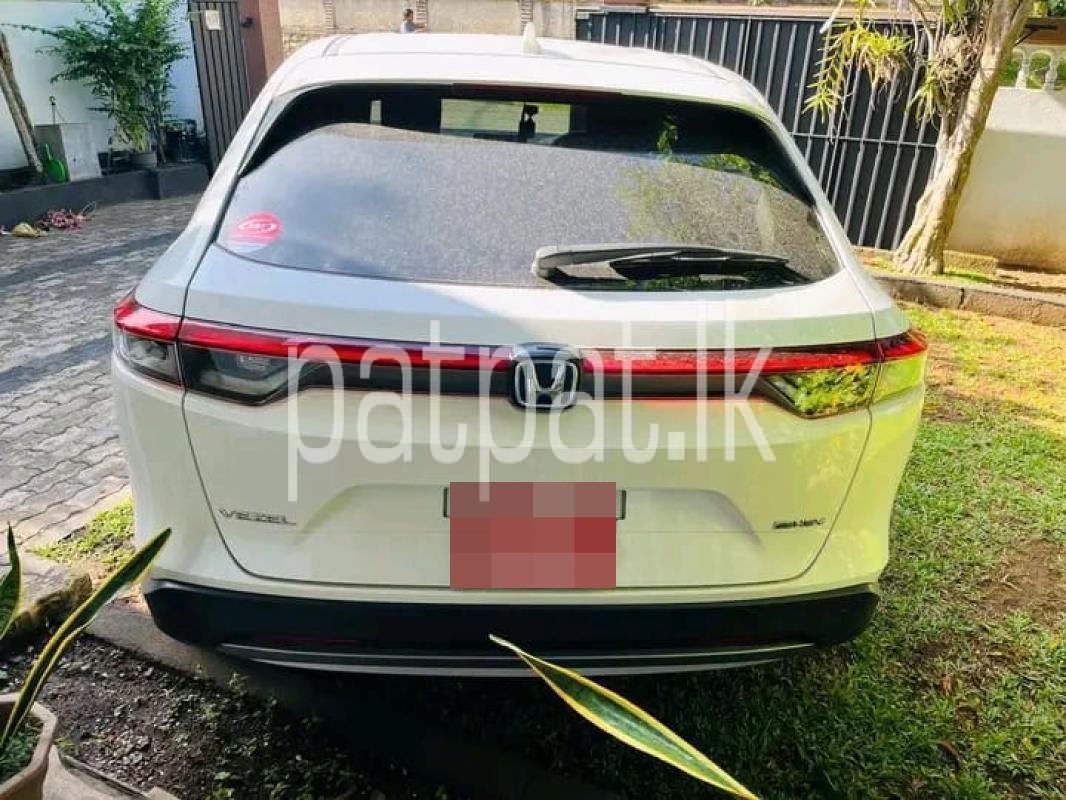 Advertisement image 4