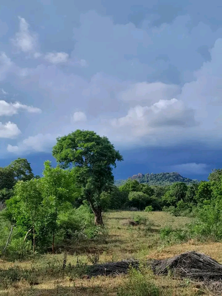 Commercial Land for Sale in Kataragama