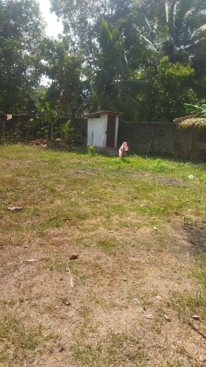 Residential Land for Sale in Kochchikade ads-image-1