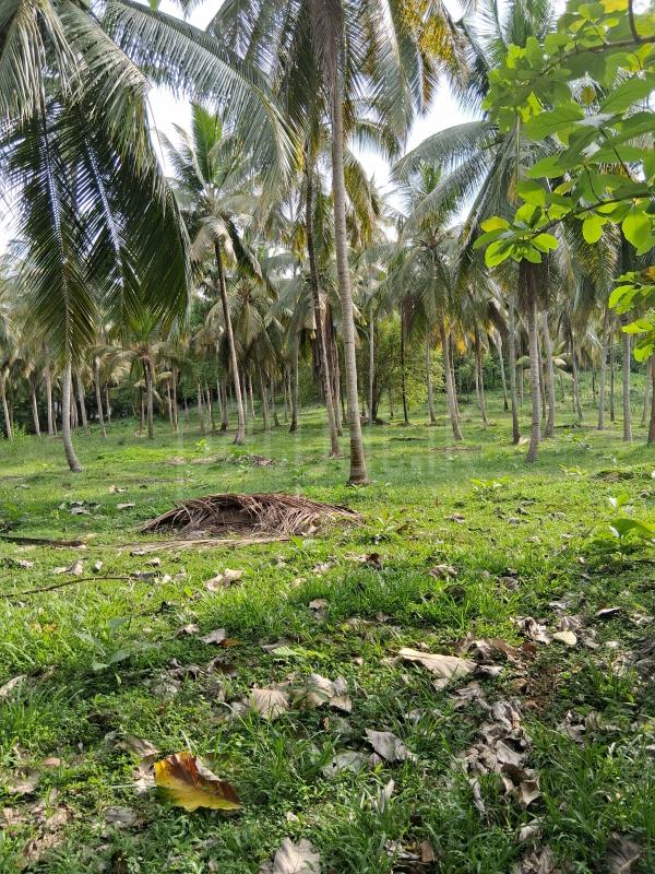 Agricultural Land for Sale in Kurunegala
