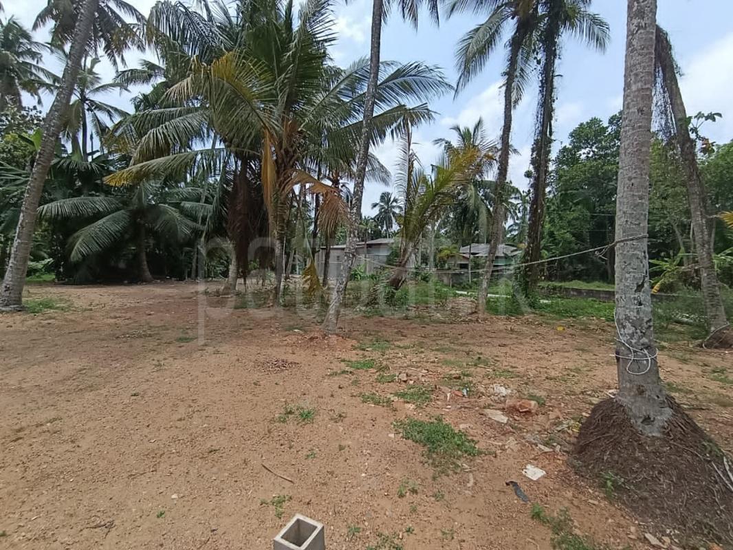 Residential Land for Sale in Ragama ads-image-1