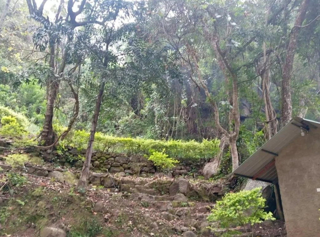 Commercial Land for Sale in Belihuloya