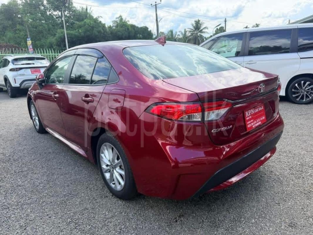 Advertisement image 2