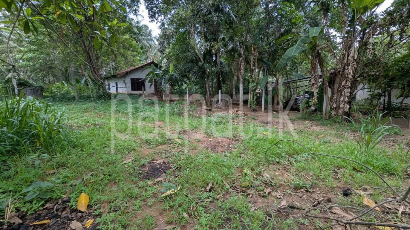Residential Land for Sale in Veyangoda