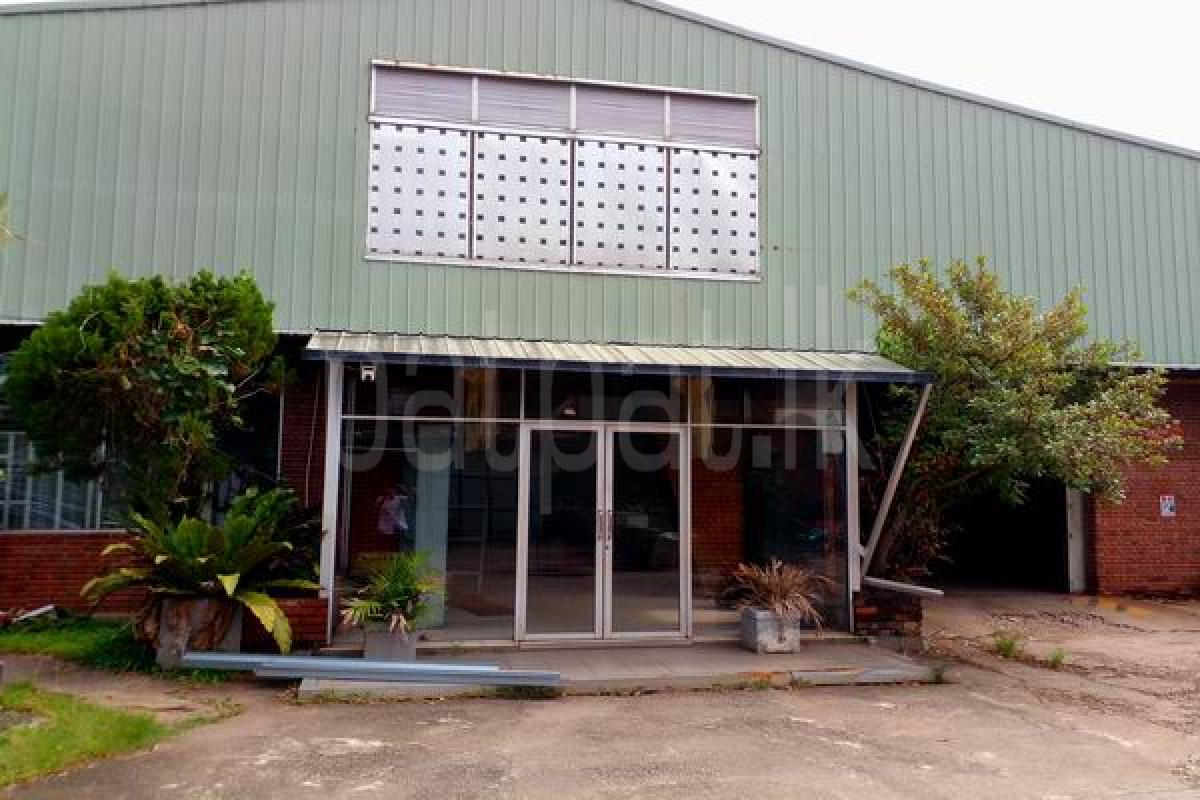 Advertisement image 6