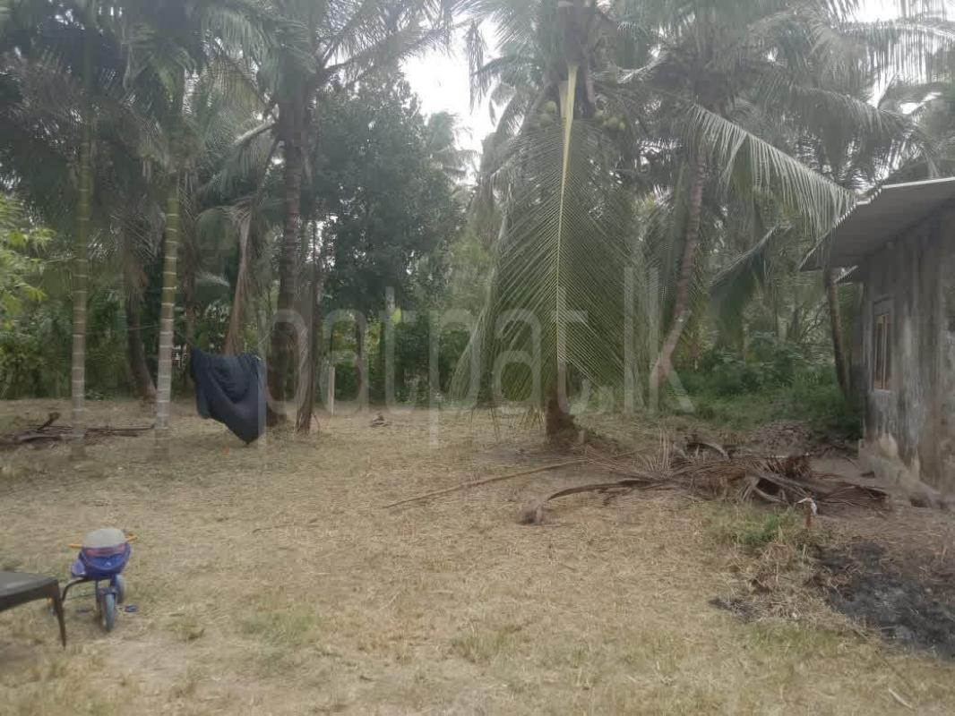 Residential Land for Sale in Marandagahamula
