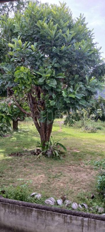 Residential Land for Sale in Kataragama