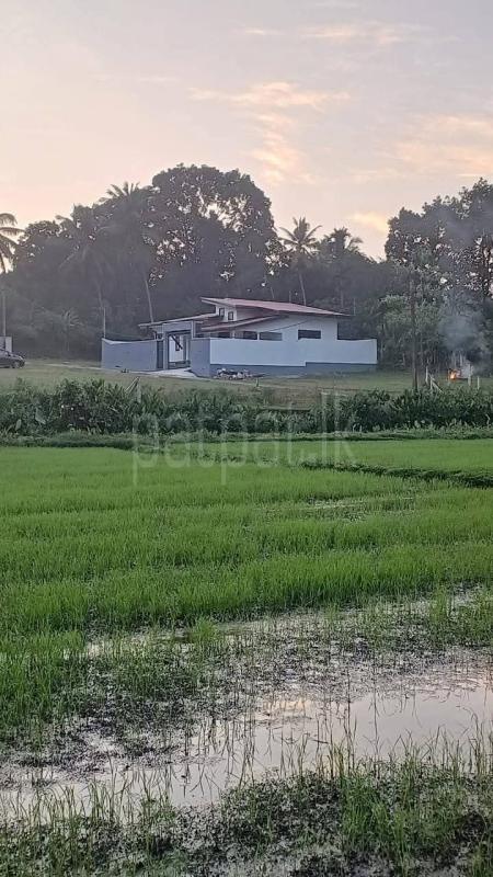 House for Sale in Homagama ads-image-1