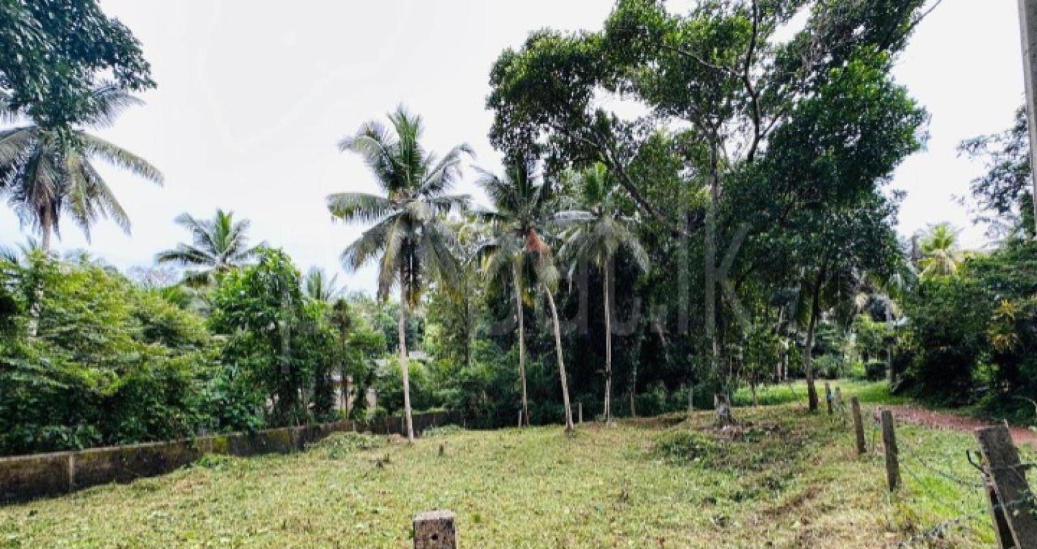 Commercial Land for Sale in Panadura