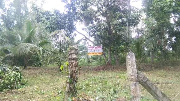 Residential Land for Sale in Attanagalla