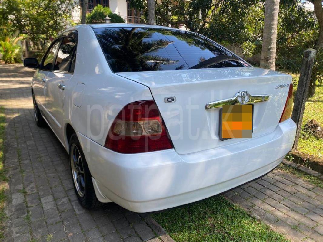 Advertisement image 2