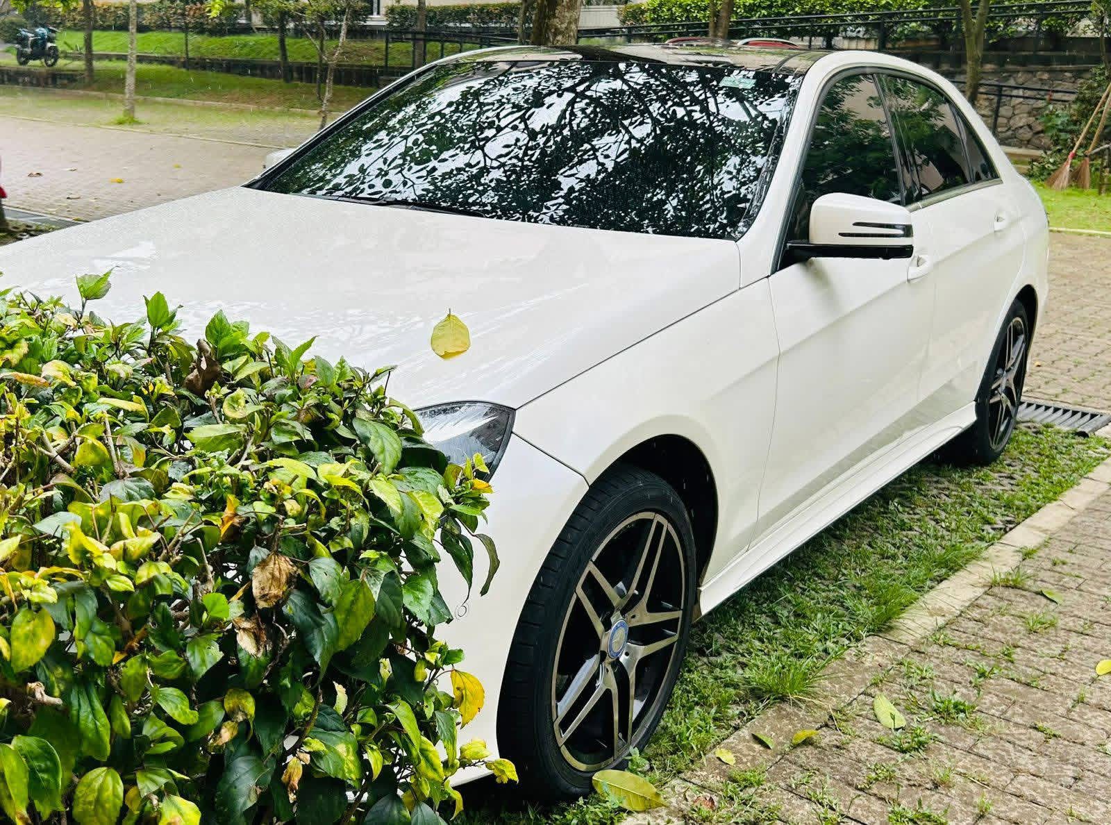 Mercedes Benz E Class 2003 - Used Car sale in Sri Lanka - patpat.lk