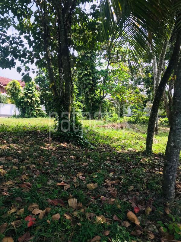 Commercial Land for Sale in Karapitiya
