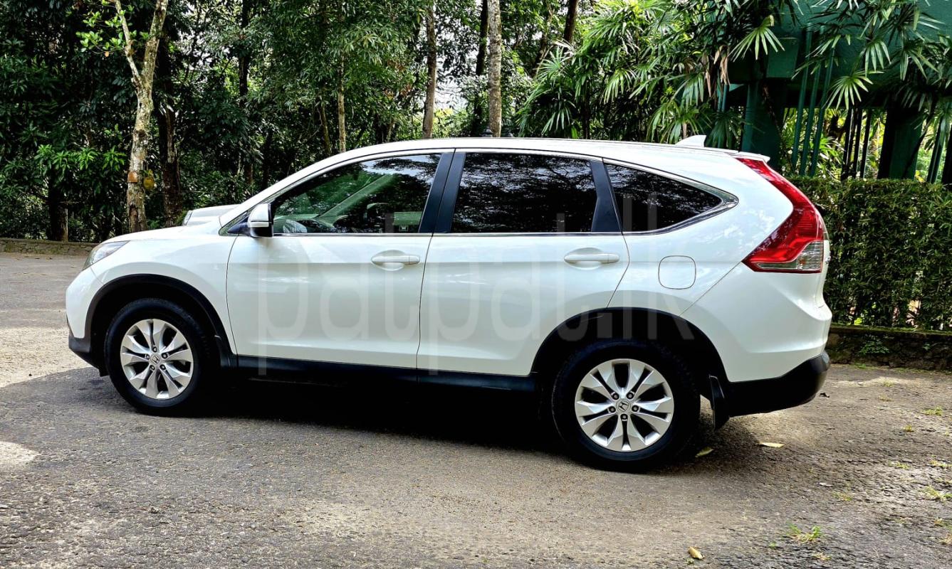 Advertisement image 6