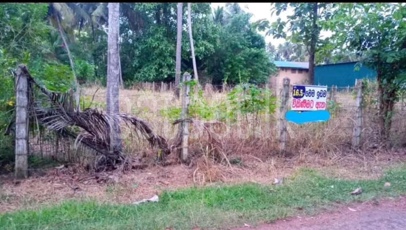 Advertisement image 1