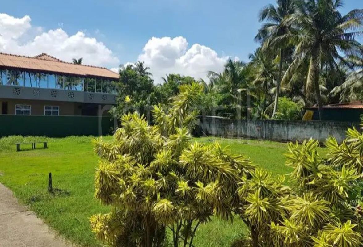 Advertisement image 1