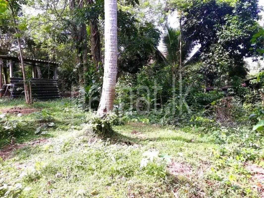 Advertisement image 1