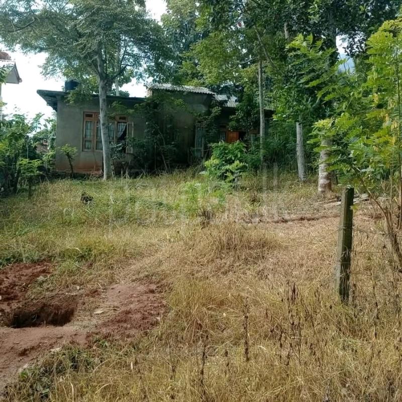 Residential Land for Sale in Galewela ads-image-1