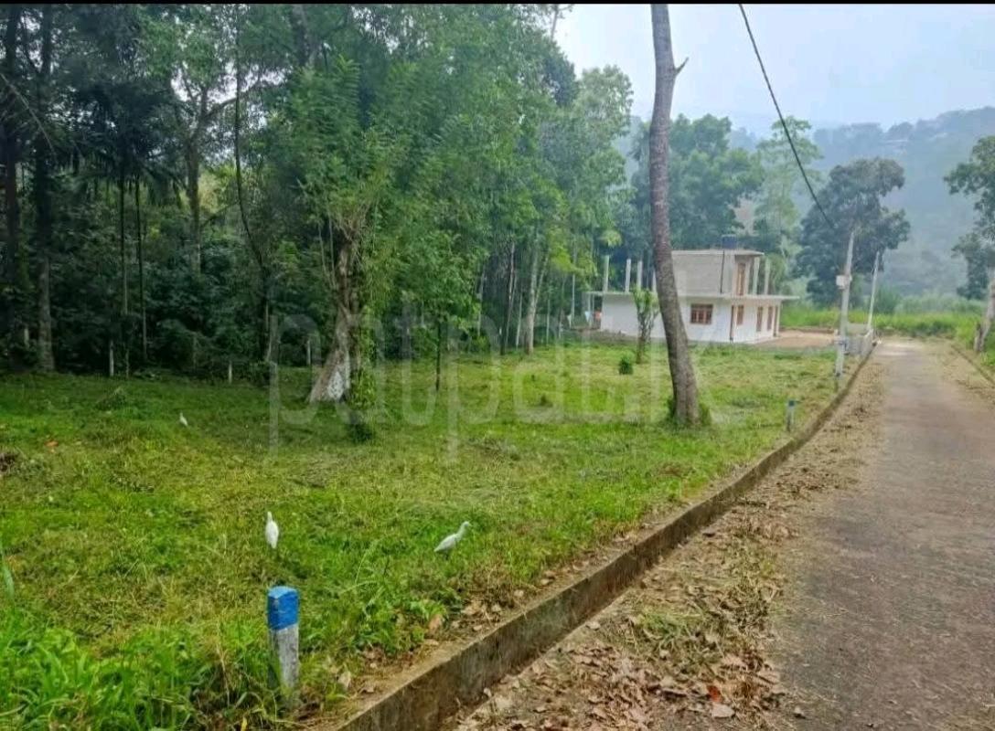 Agricultural Land for Sale in Ambewela