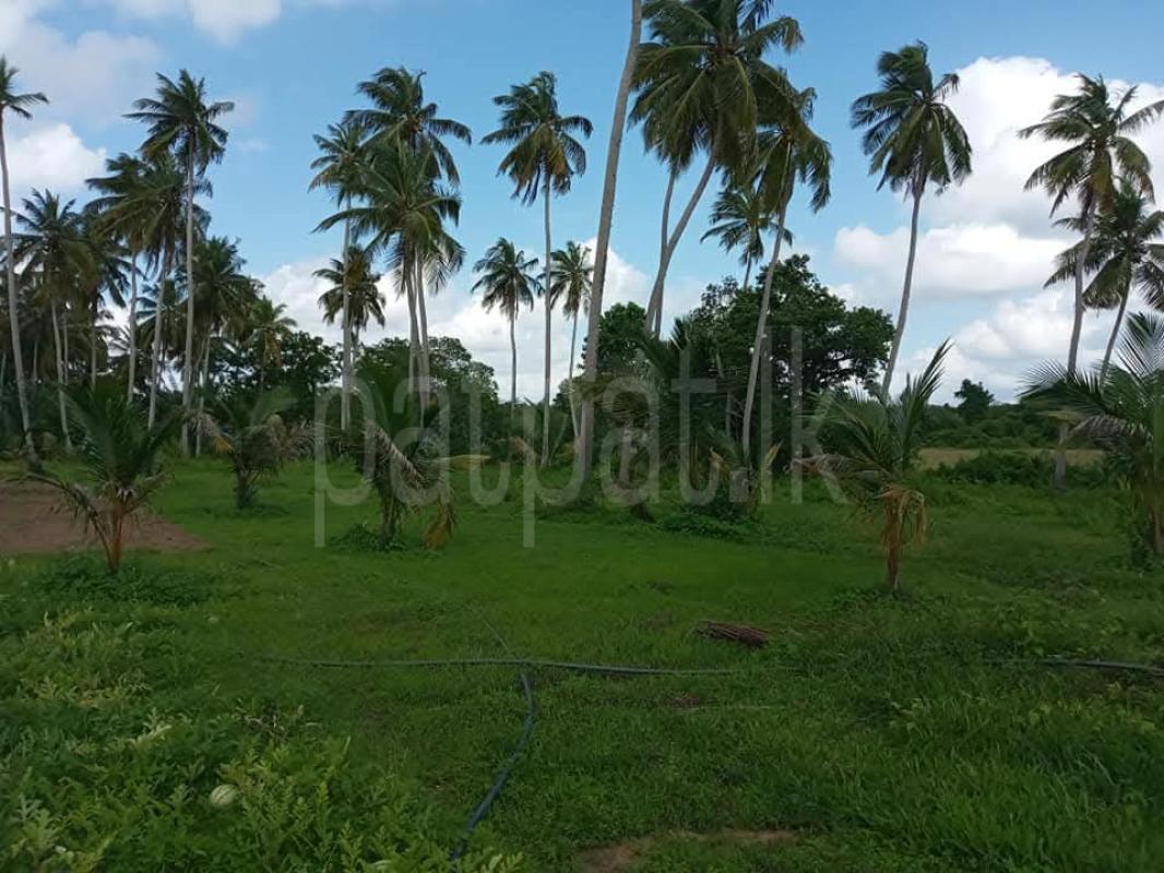 Commercial Land for Sale in Wariyapola