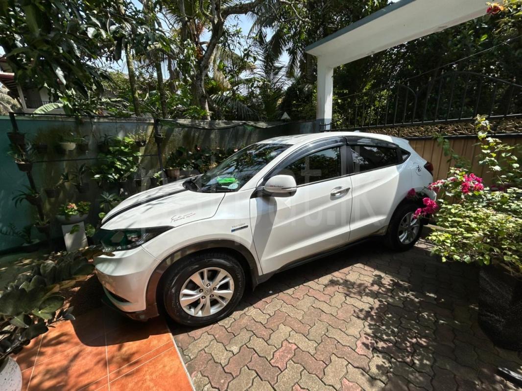 Advertisement image 5