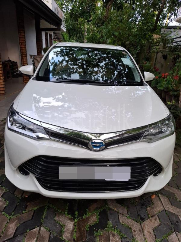 Advertisement image 1