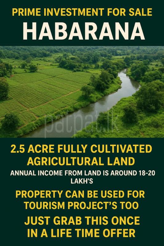 premium-listing-image