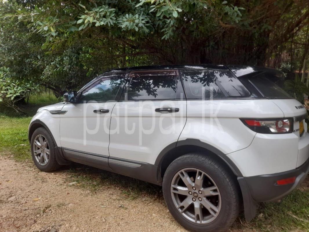 Advertisement image 2