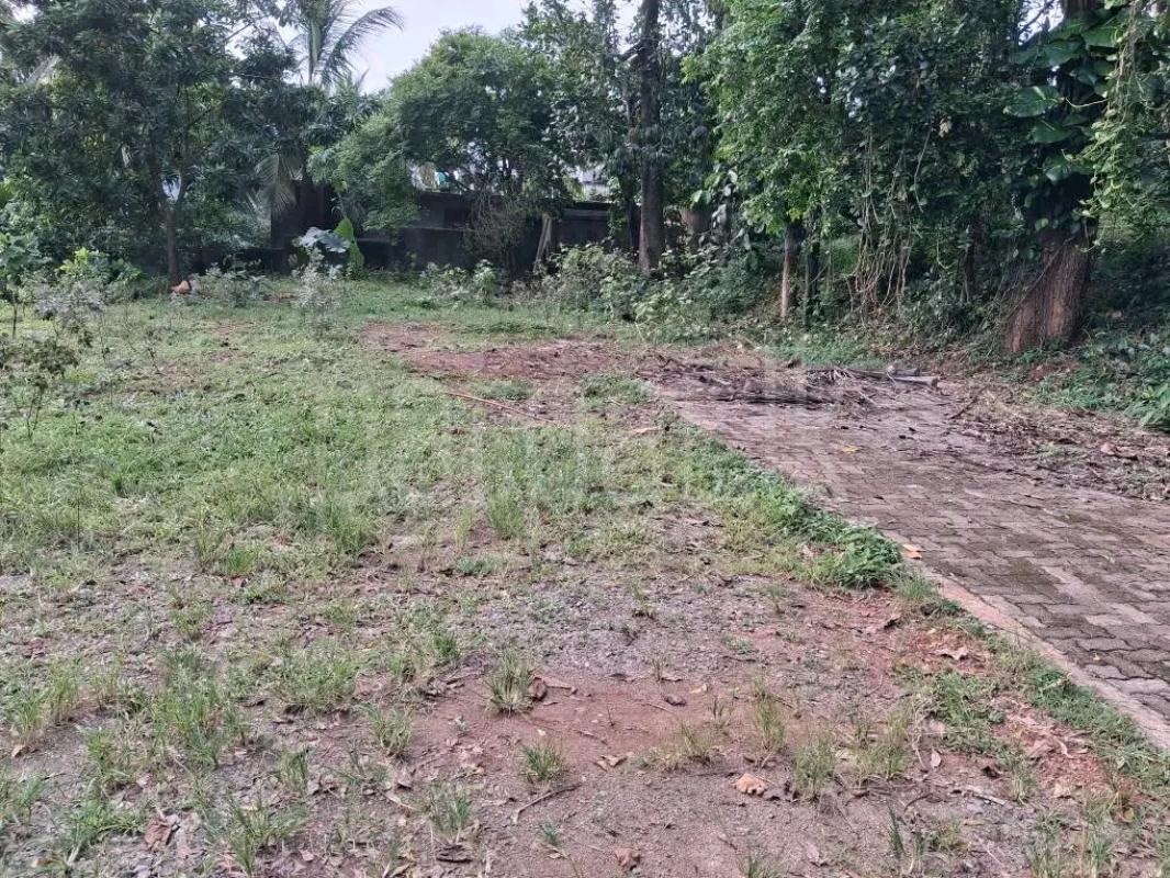 Residential Land for Sale in Wattala