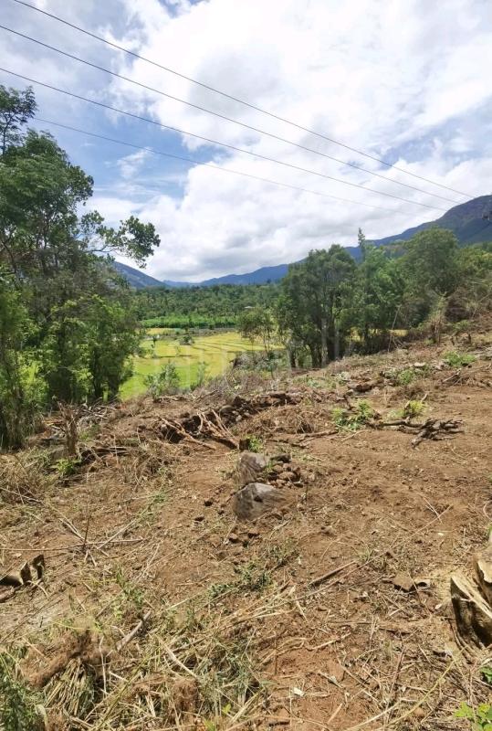 Agricultural Land for Sale in Haputale ads-image-1