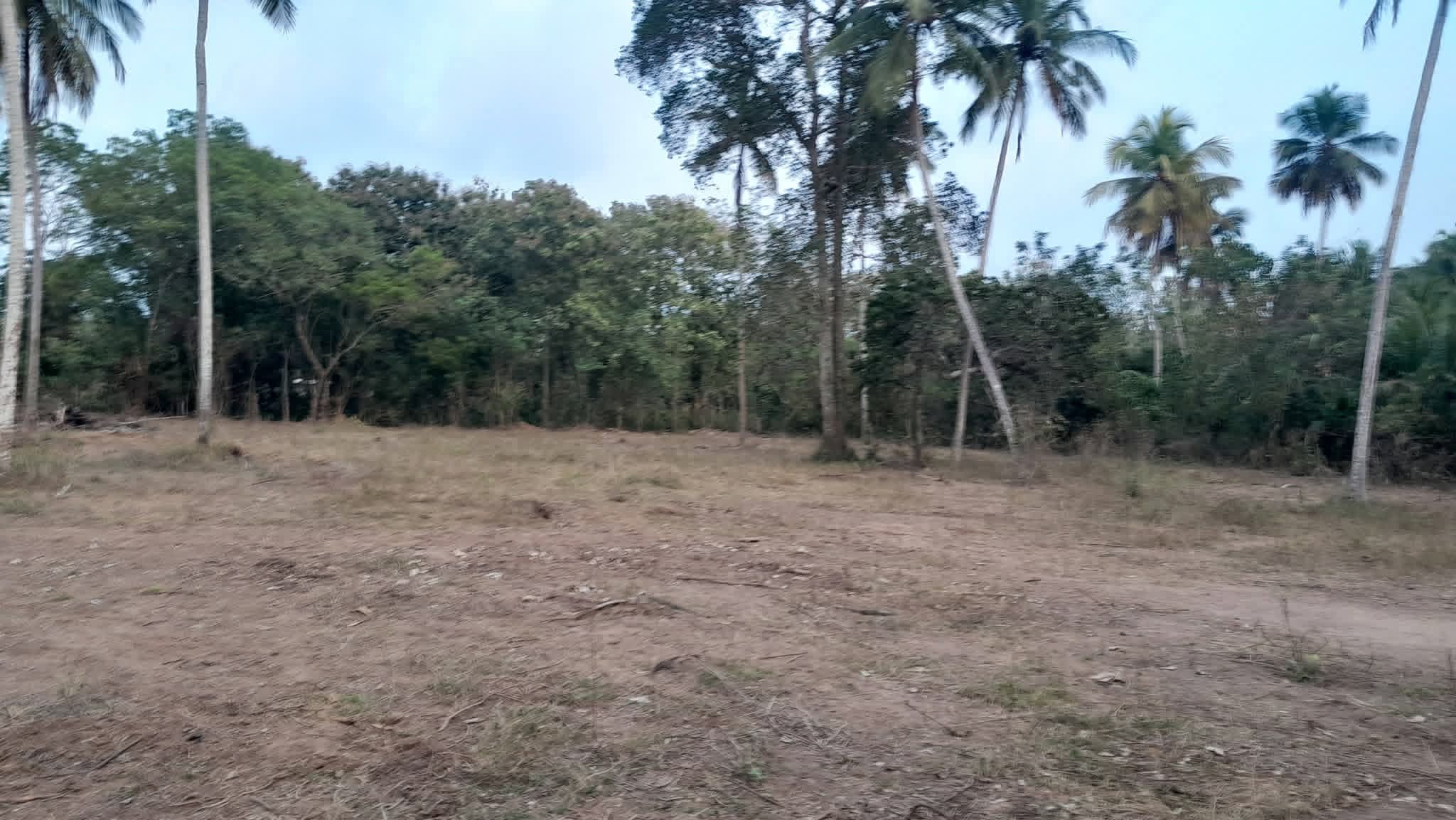 Residential Land for Sale in Tangalla