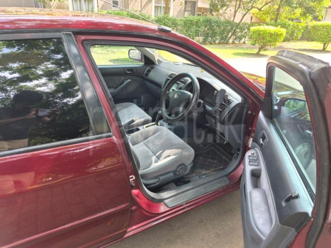 Advertisement image 4