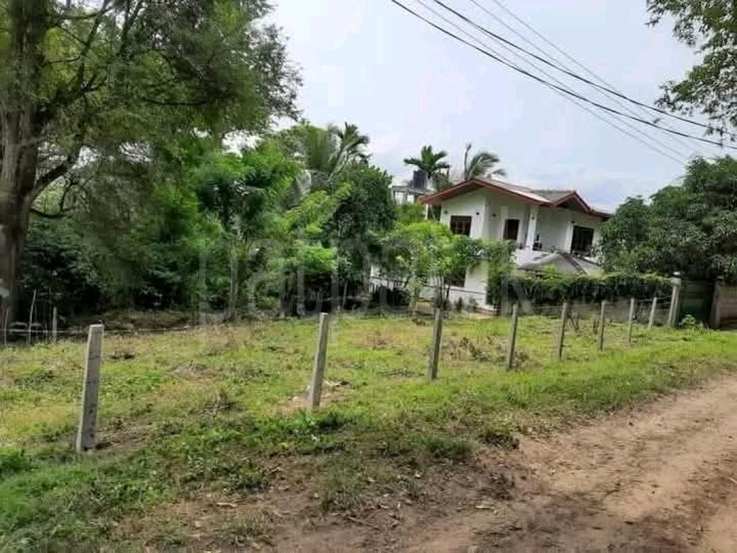 Commercial Land for Sale in Pallekelle