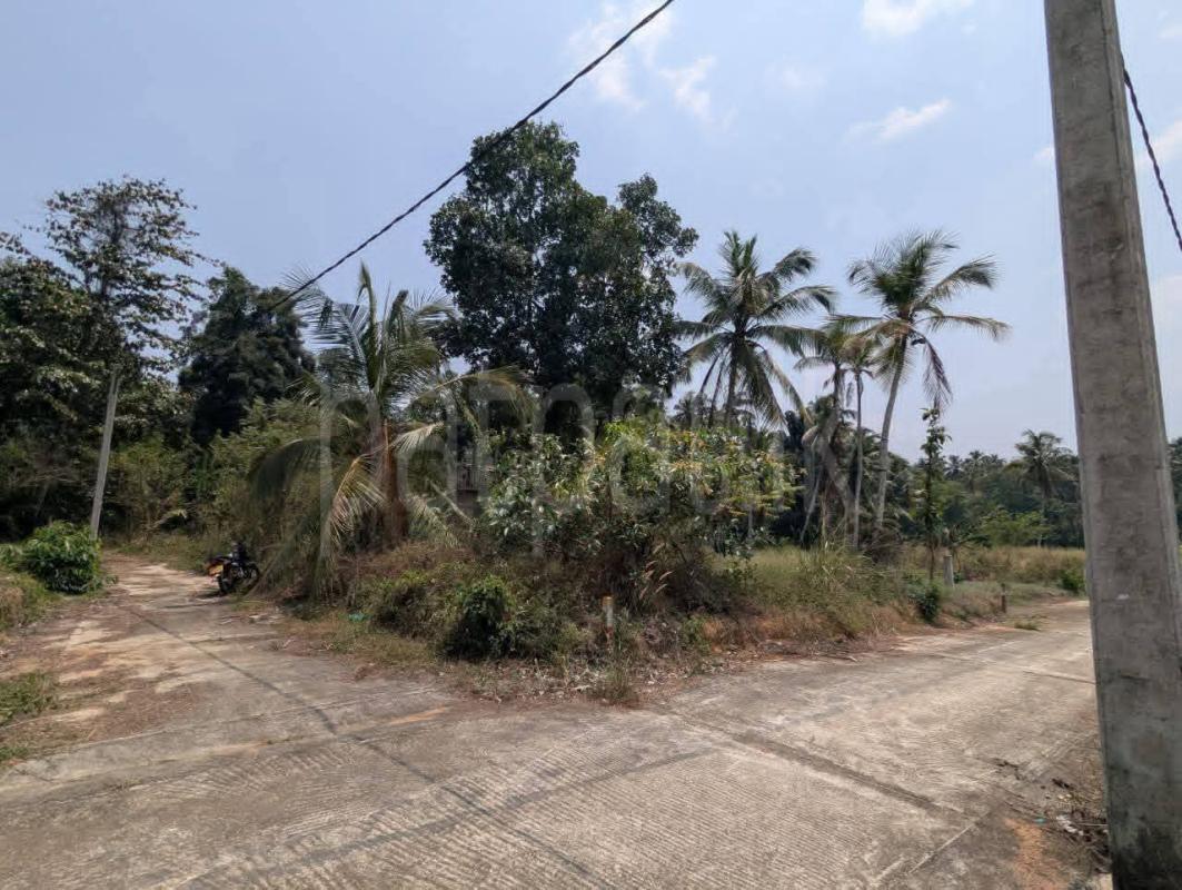 Residential Land for Sale in Divulapitiya