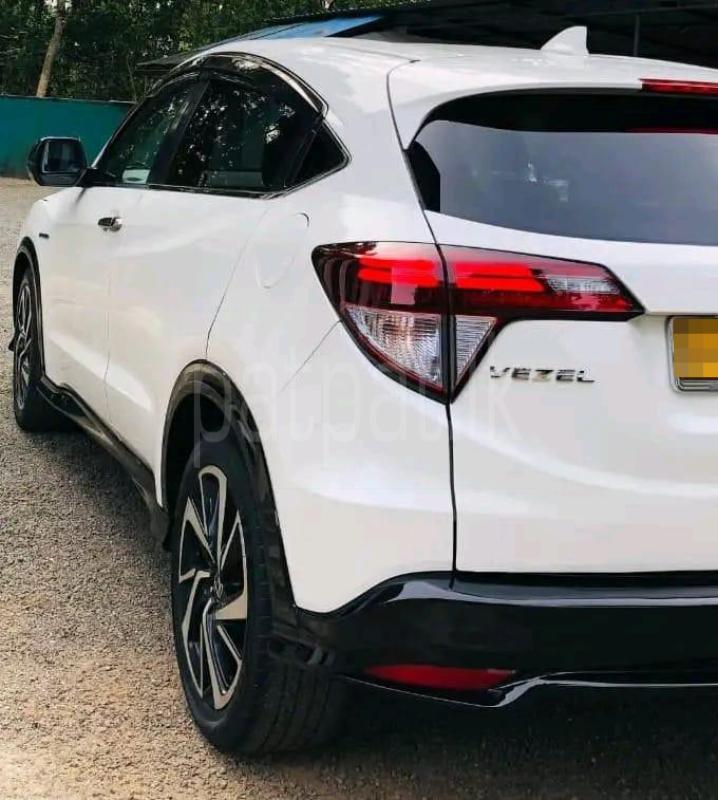 Advertisement image 4