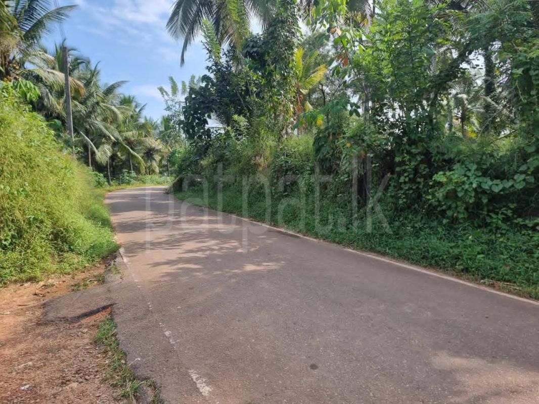 Residential Land for Sale in Nittambuwa