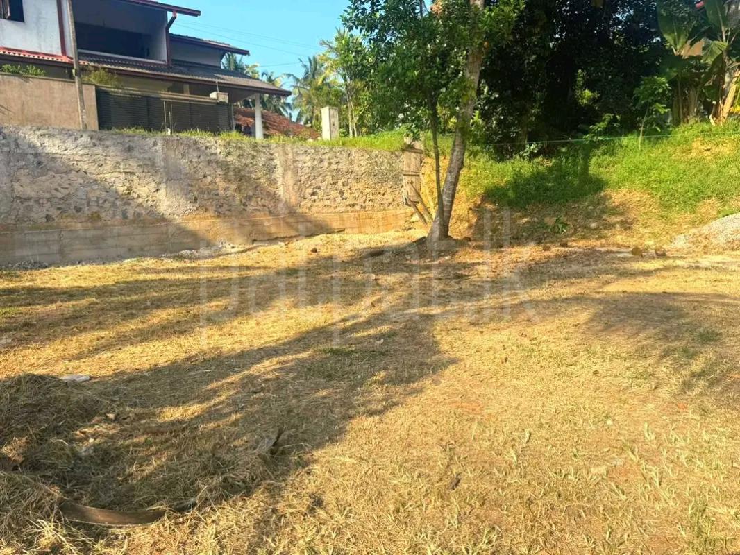 Residential Land for Sale in Panadura