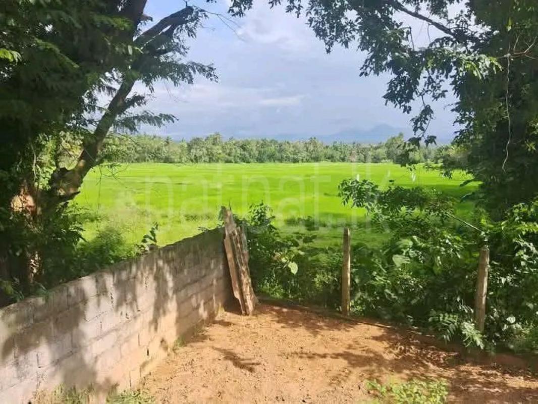 House for Sale in Ibbagamuwa