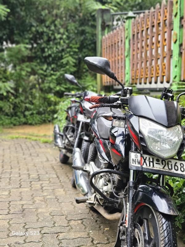 Bajaj Pulsar 2013 - භාවිතා කරන ලද බයිසිකලය sale in Sri Lanka - patpat.lk