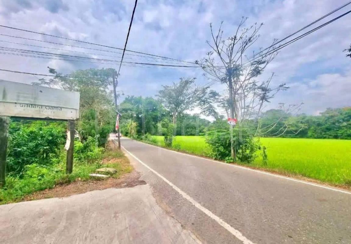 Agricultural Land for Sale in Gampaha