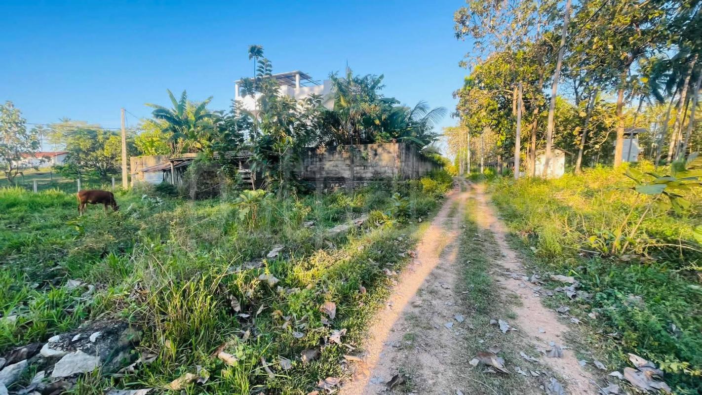 Residential Land for Sale in Ibbagamuwa ads-image-1