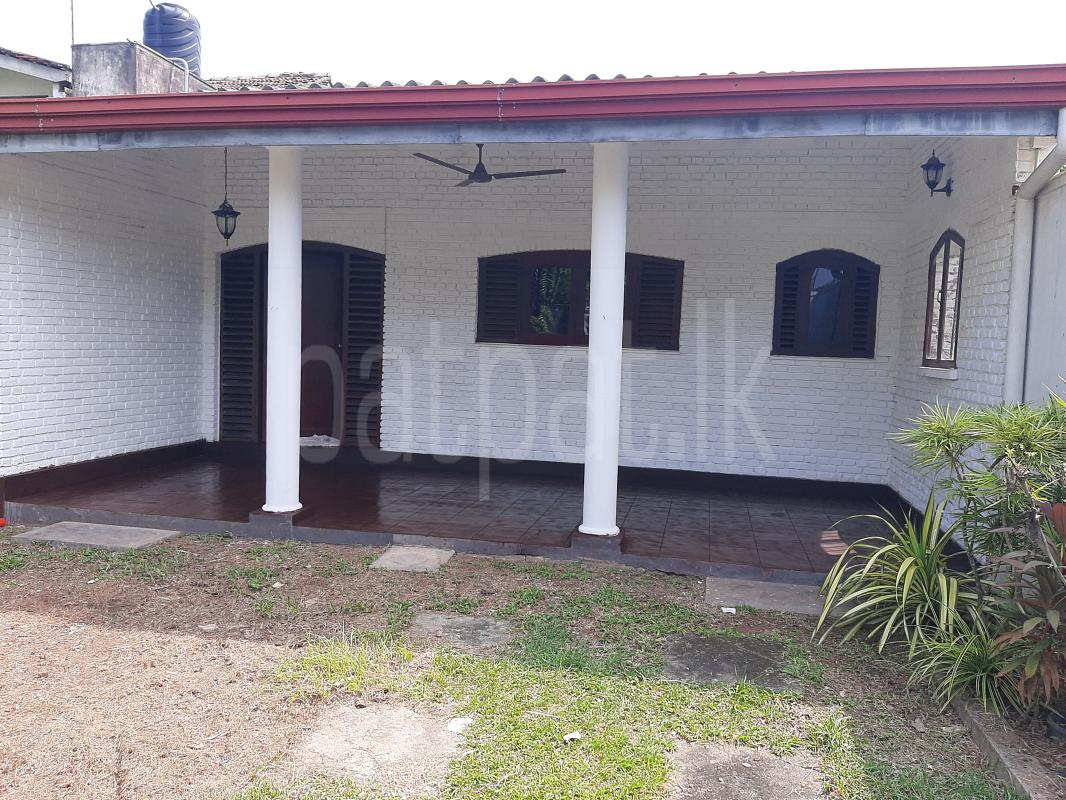 premium-listing-image