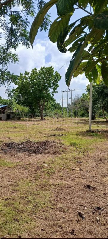 Residential Land for Sale in Kataragama