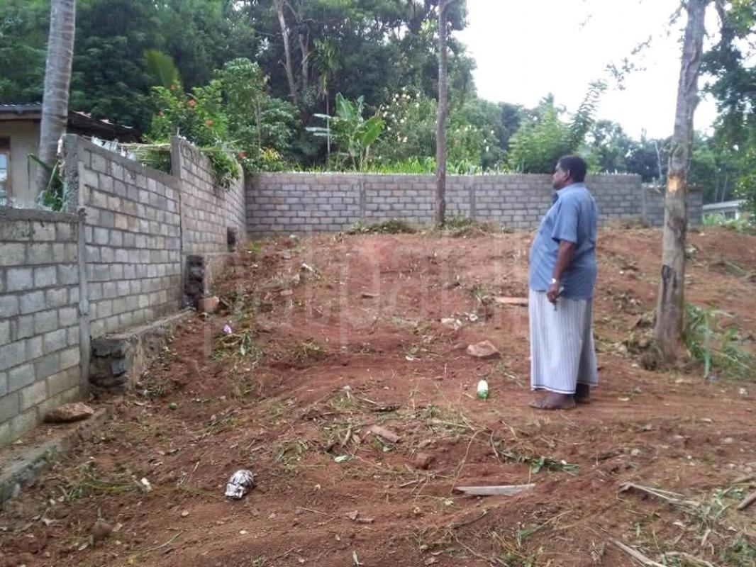 Agricultural Land for Sale in Ampitiya ads-image-1