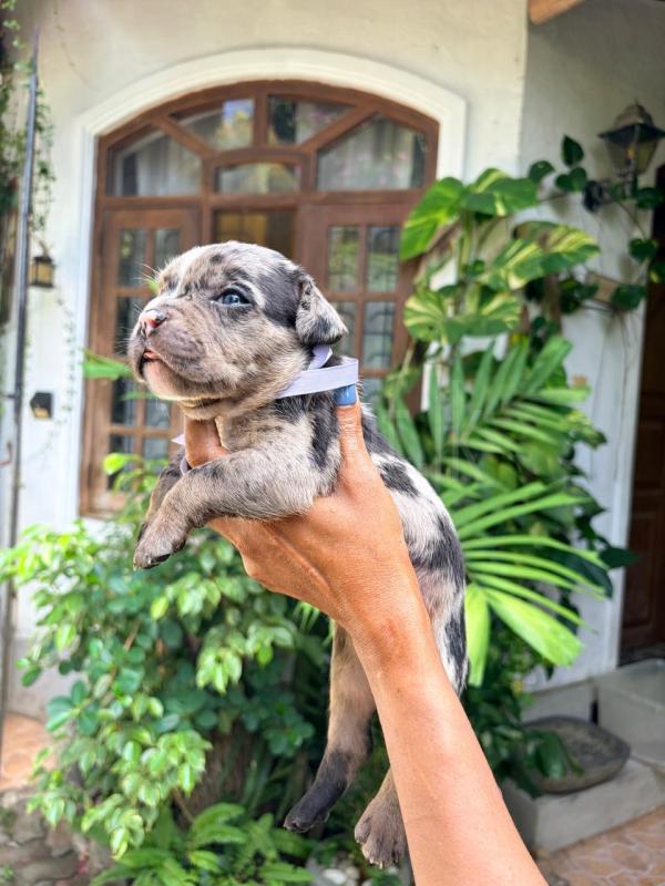 Advertisement image 2