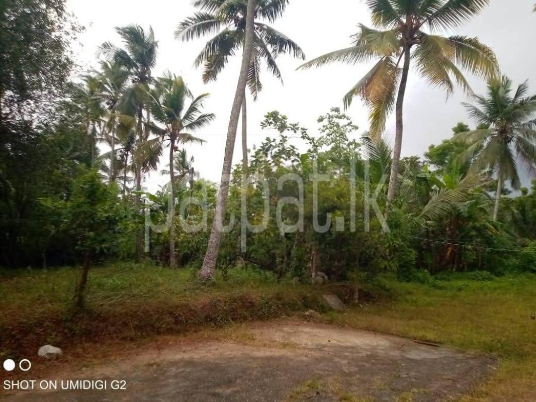 House for Sale in Divulapitiya