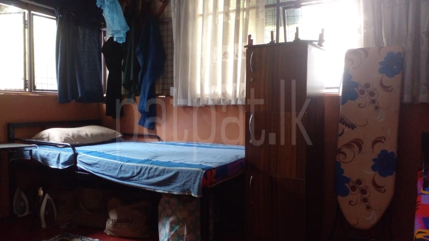 Room for Rent in Dehiwala ads-image-1