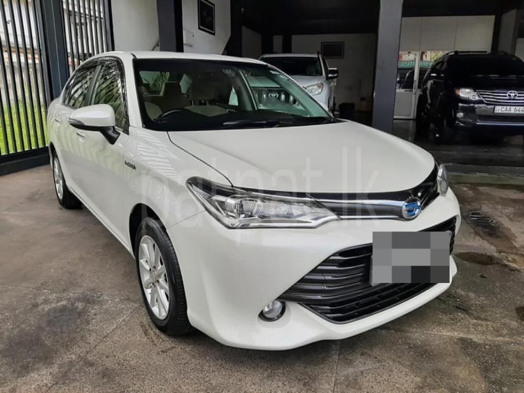 Advertisement image 3