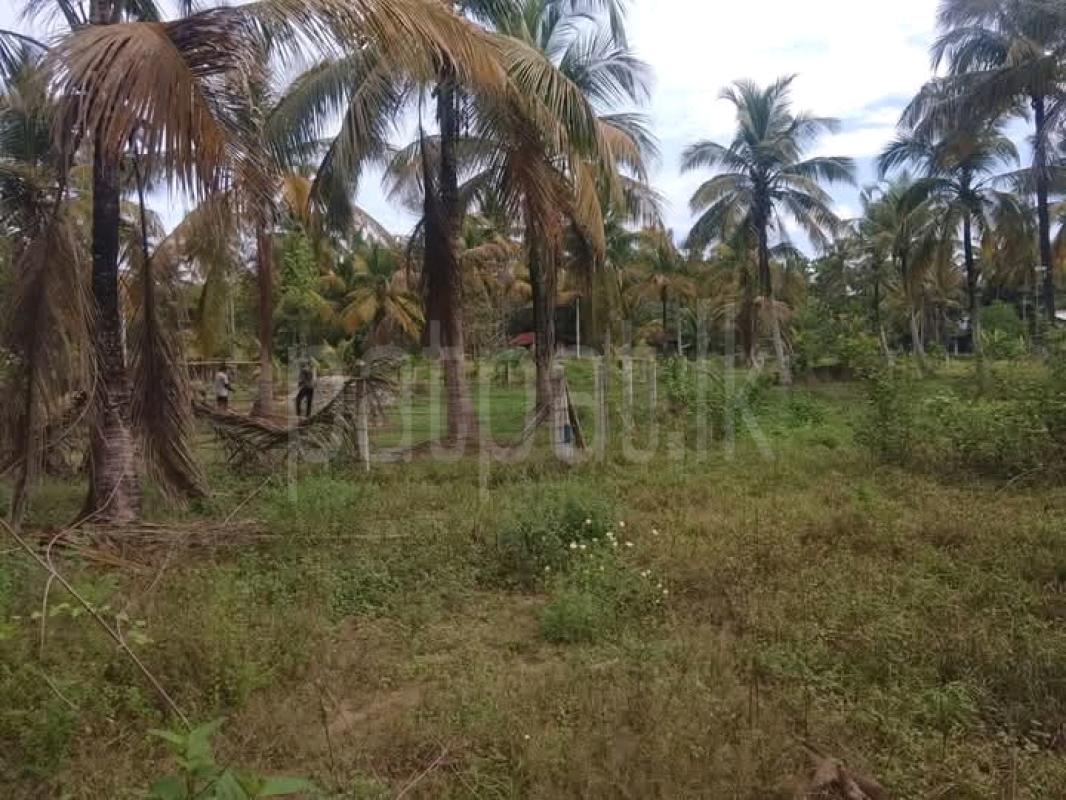 Commercial Land for Sale in Kuliyapitiya