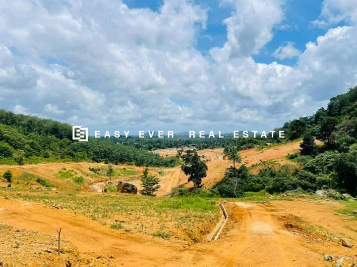 Commercial Land for Sale in Meepe